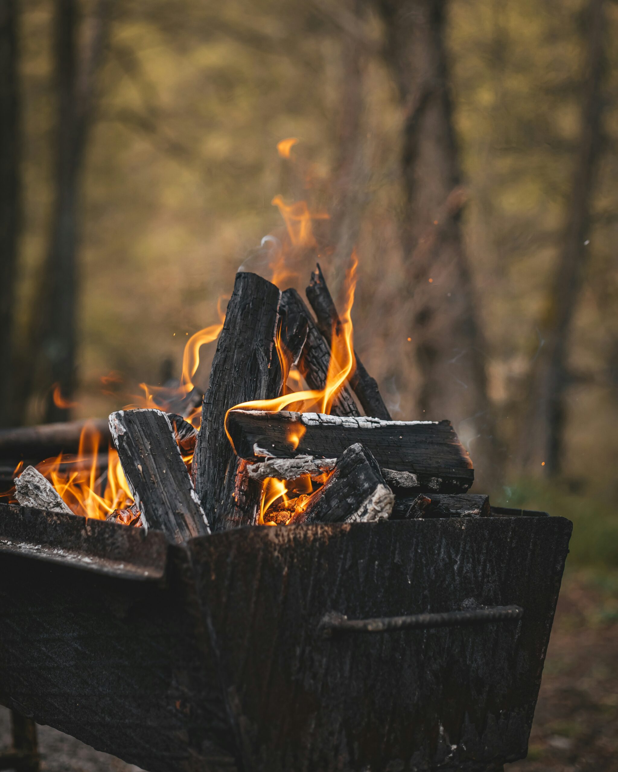 tony litvyak ncjkrldseew unsplash